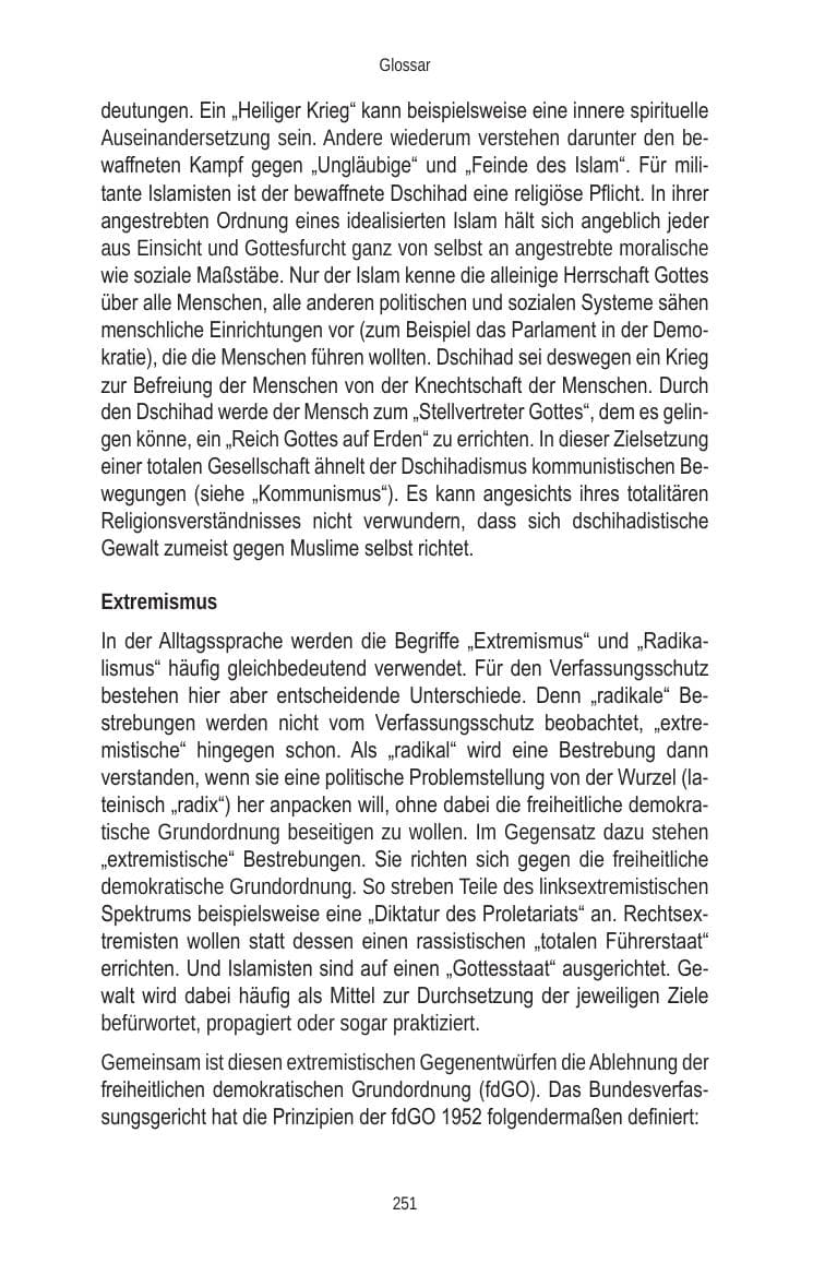 Seite 251 des Verfassungsschutzbericht 2010 Brandenburg