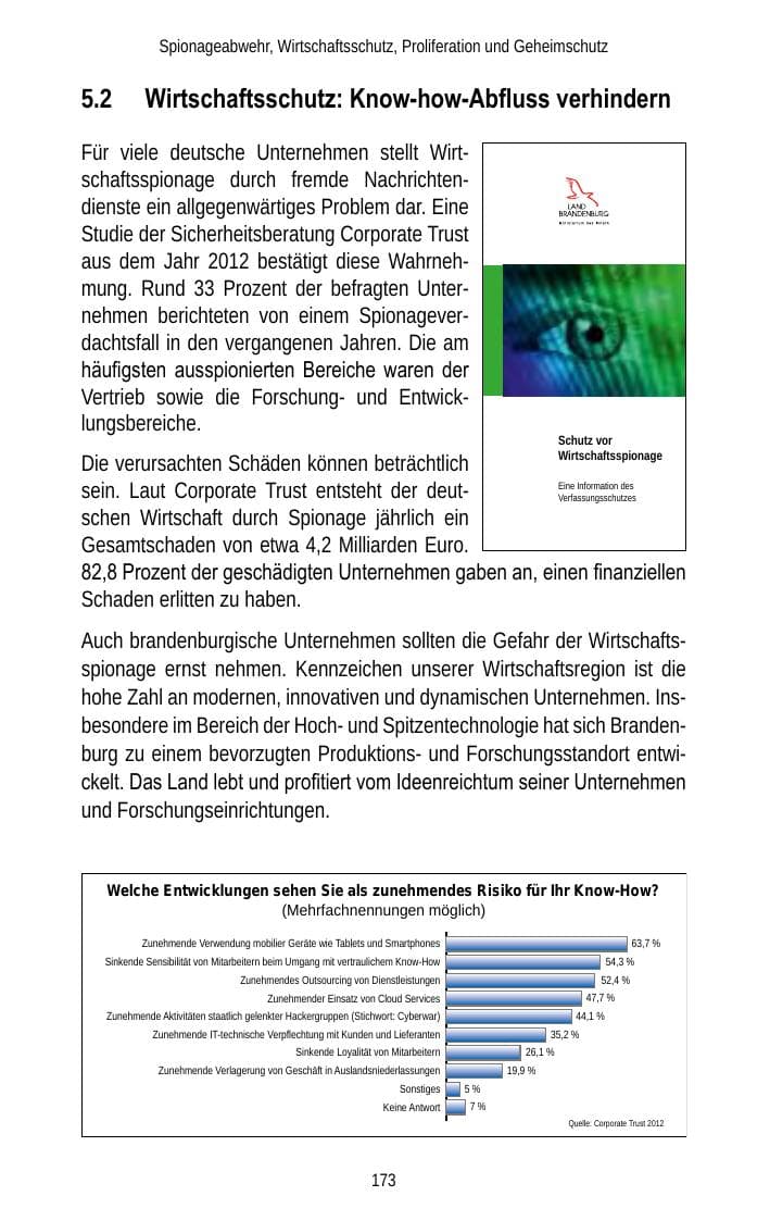 Seite 173 des Verfassungsschutzbericht 2012 Brandenburg