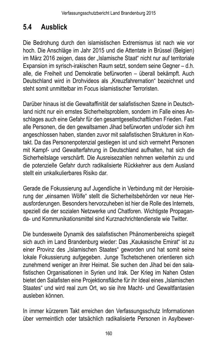 Seite 162 des Verfassungsschutzbericht 2015 Brandenburg