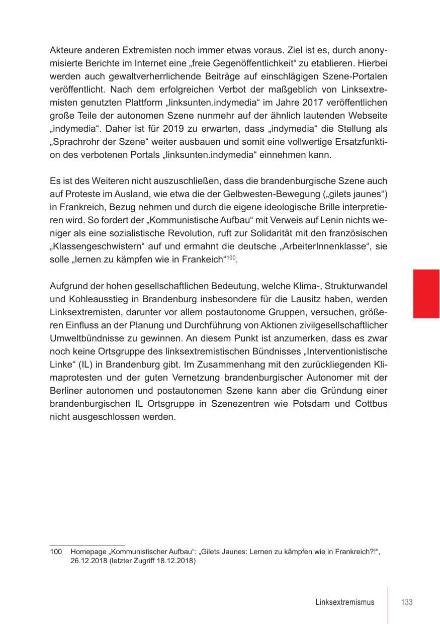 Seite 133 des Verfassungsschutzbericht 2018 Brandenburg
