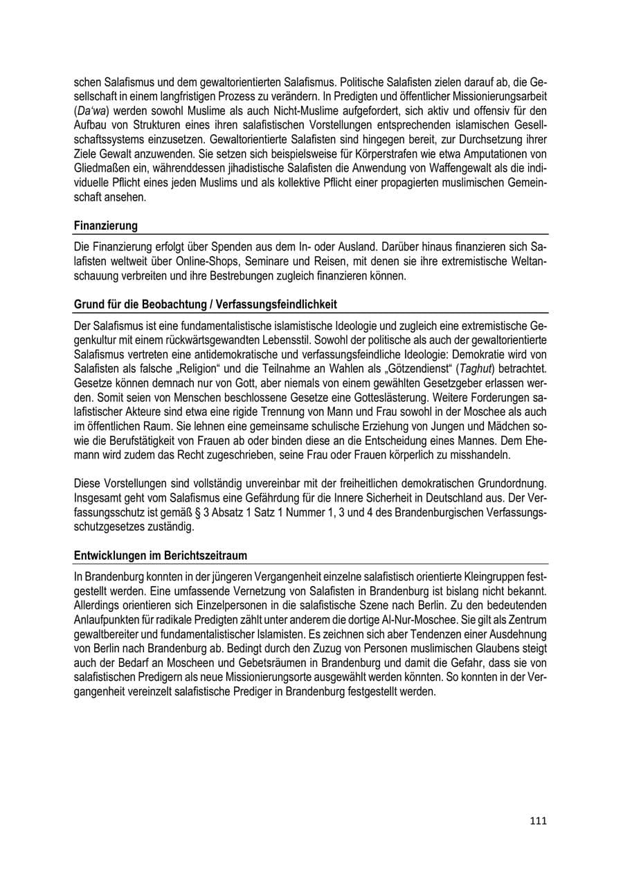 Seite 111 des Verfassungsschutzbericht 2019 Brandenburg