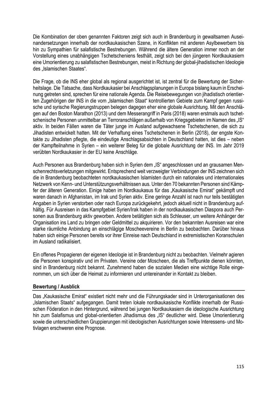 Seite 115 des Verfassungsschutzbericht 2019 Brandenburg