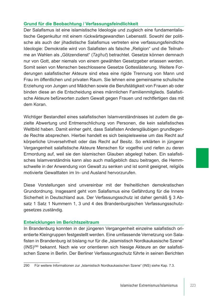 Seite 223 des Verfassungsschutzbericht 2021 Brandenburg