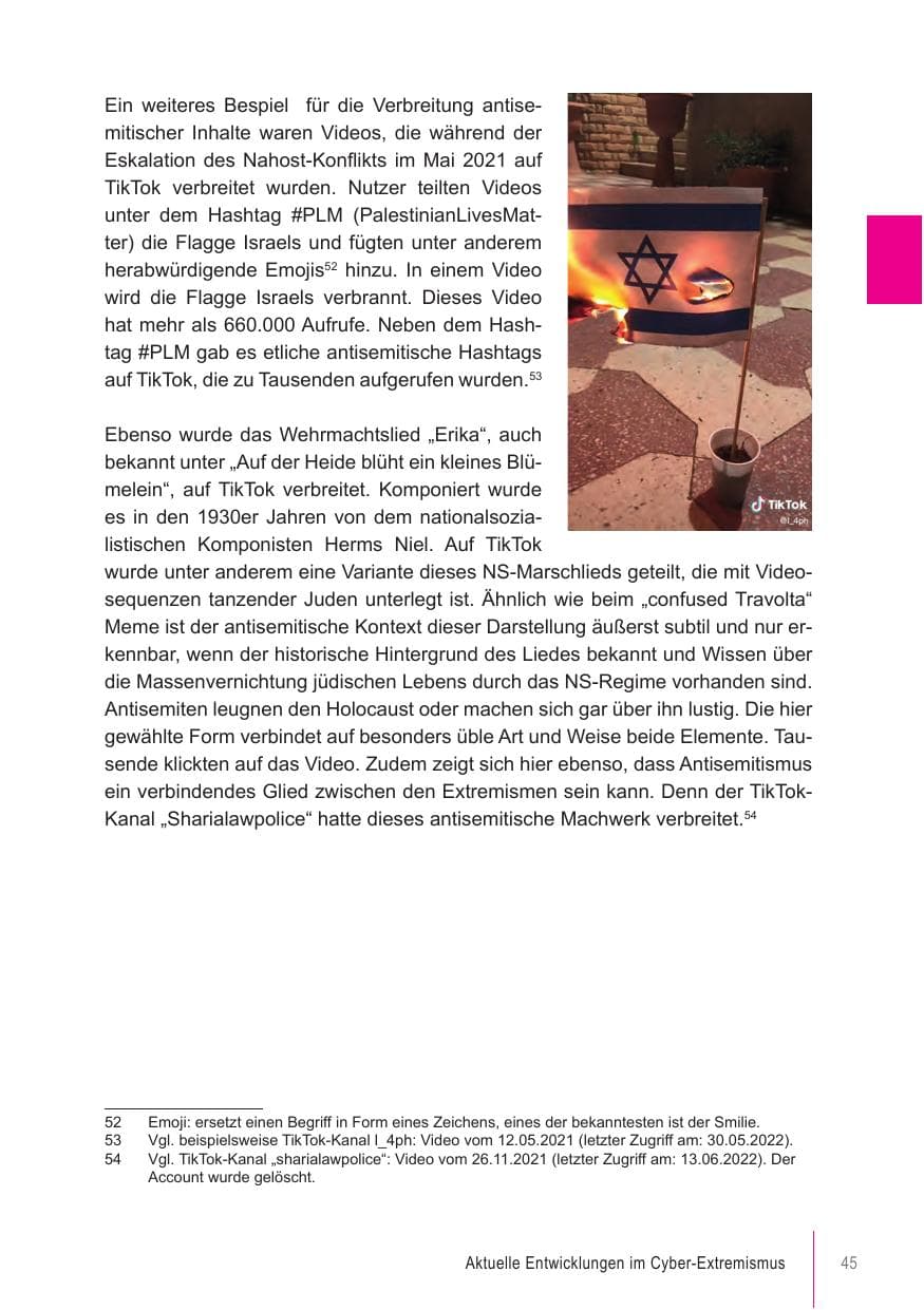 Seite 45 des Verfassungsschutzbericht 2021 Brandenburg