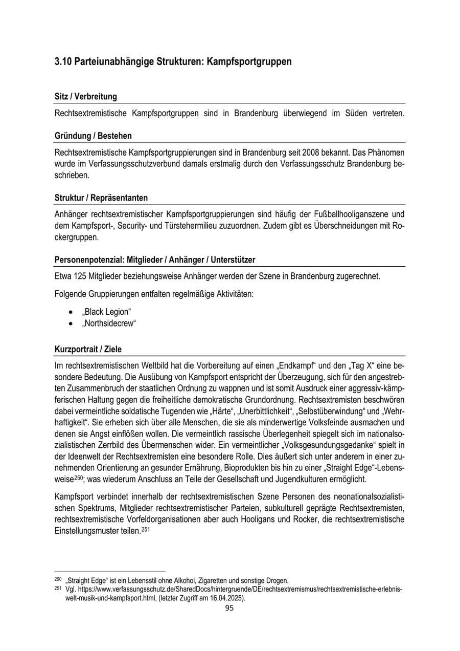 Seite 95 des Verfassungsschutzbericht 2024 Brandenburg