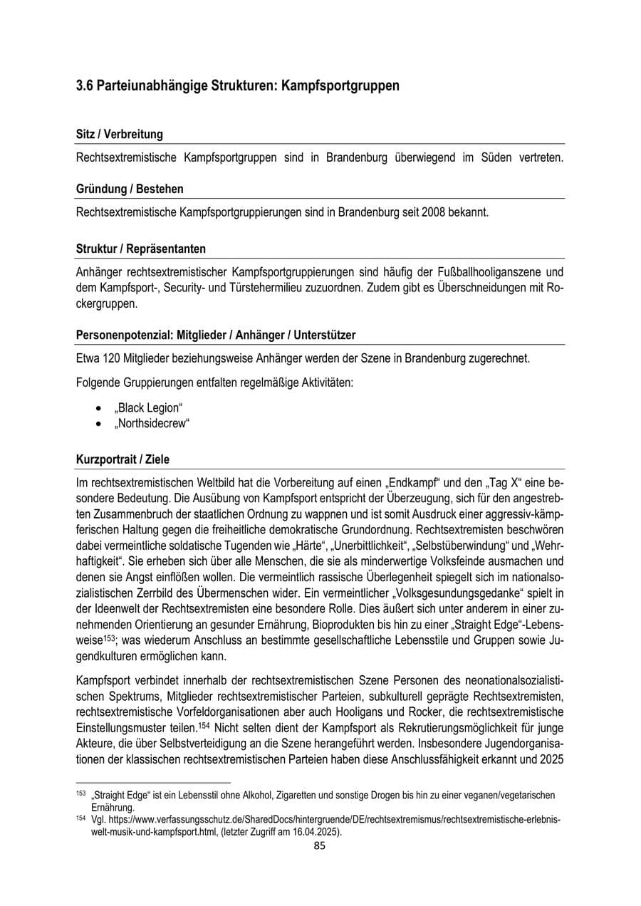 Seite 85 des Verfassungsschutzbericht 2025 Brandenburg