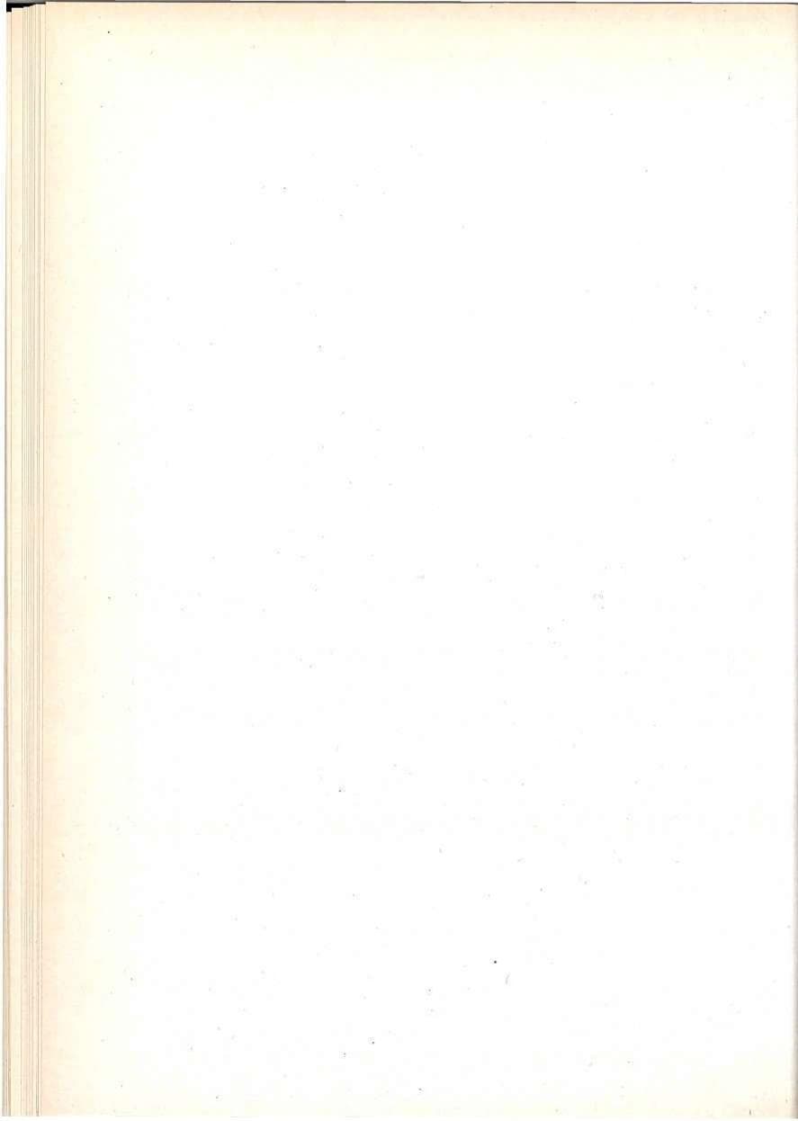 Seite 134 des Verfassungsschutzbericht 1992 Berlin
