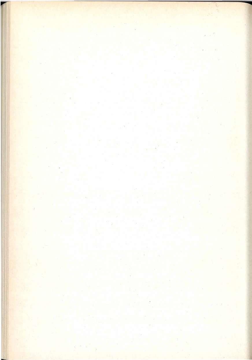 Seite 246 des Verfassungsschutzbericht 1992 Berlin