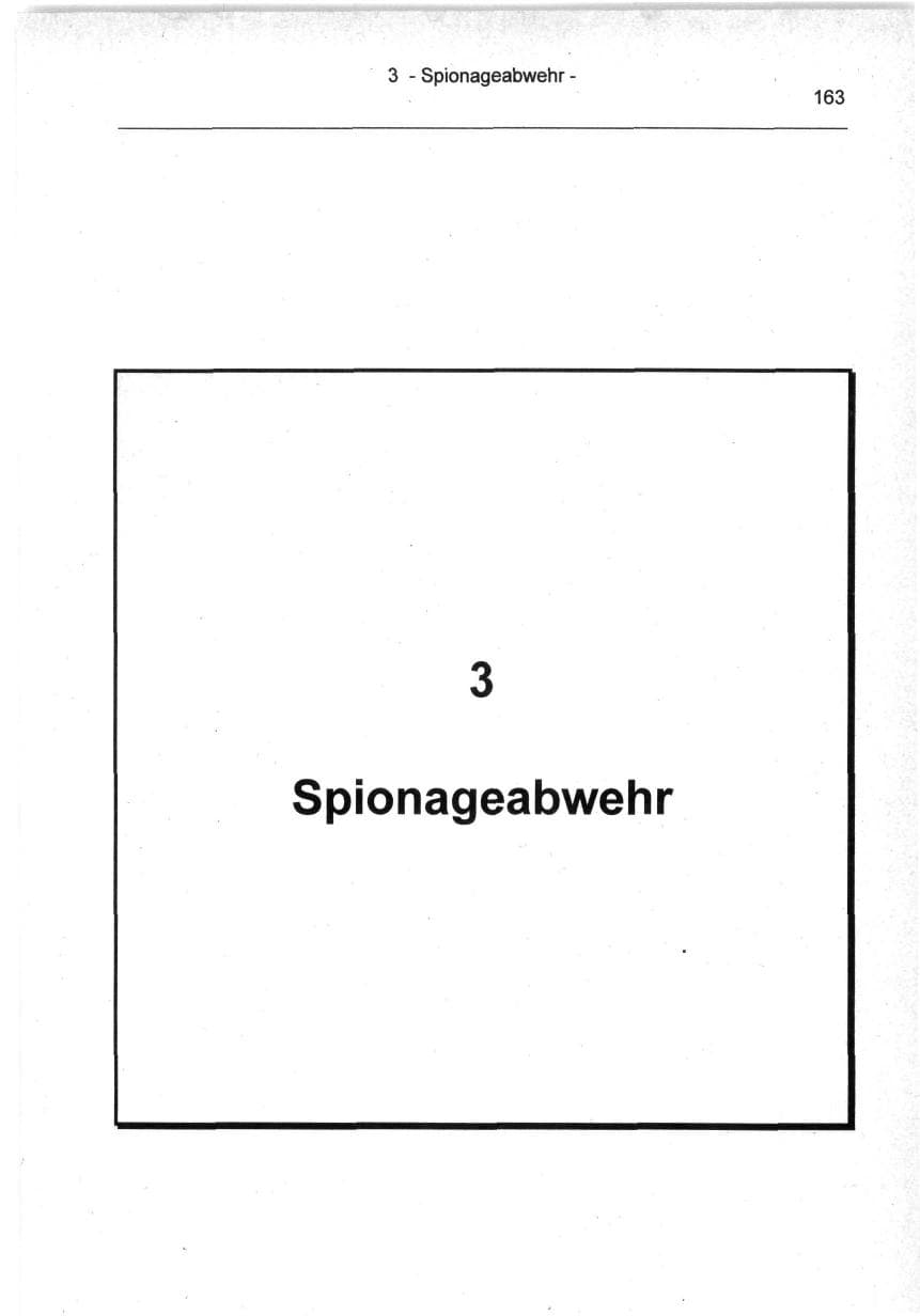 Seite 163 des Verfassungsschutzbericht 1994 Berlin