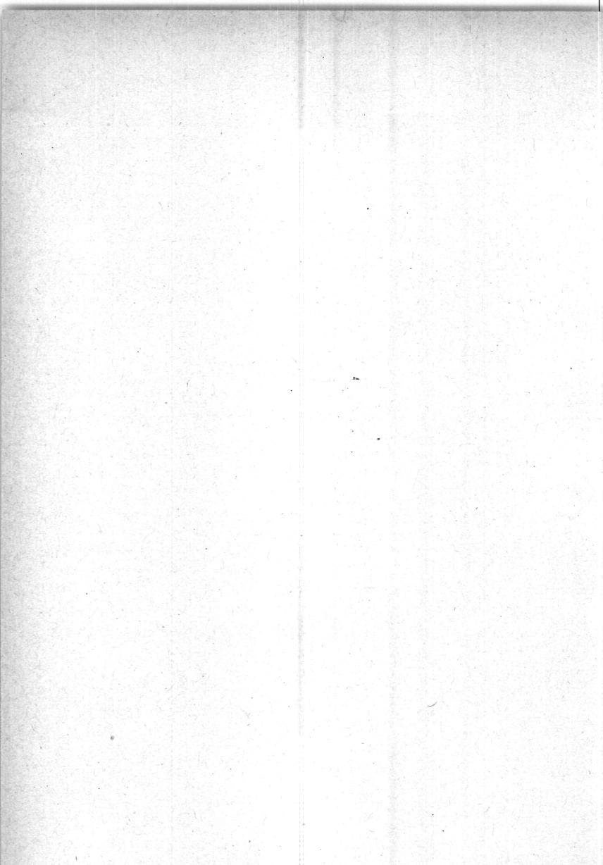Seite 238 des Verfassungsschutzbericht 1994 Berlin