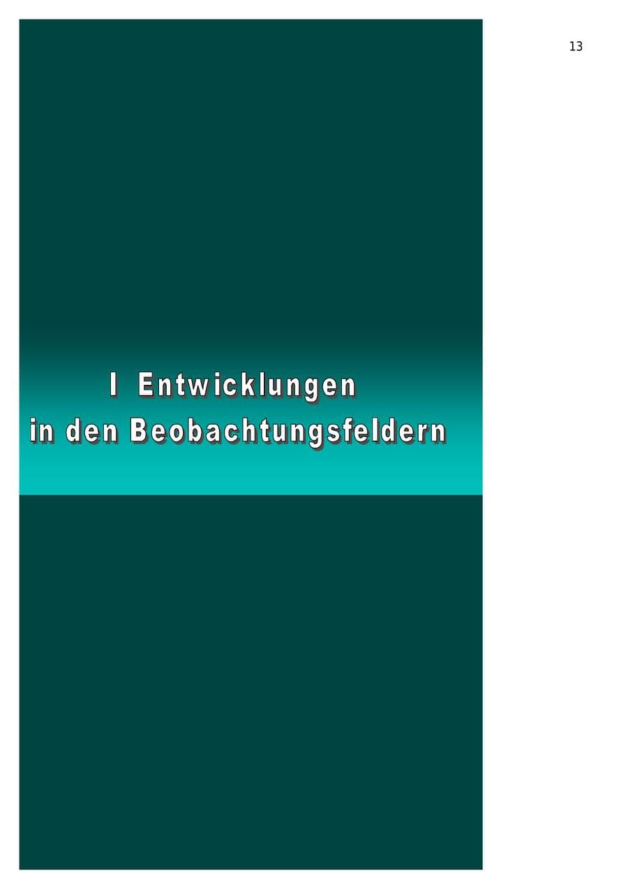Seite 13 des Verfassungsschutzbericht 2001 Berlin
