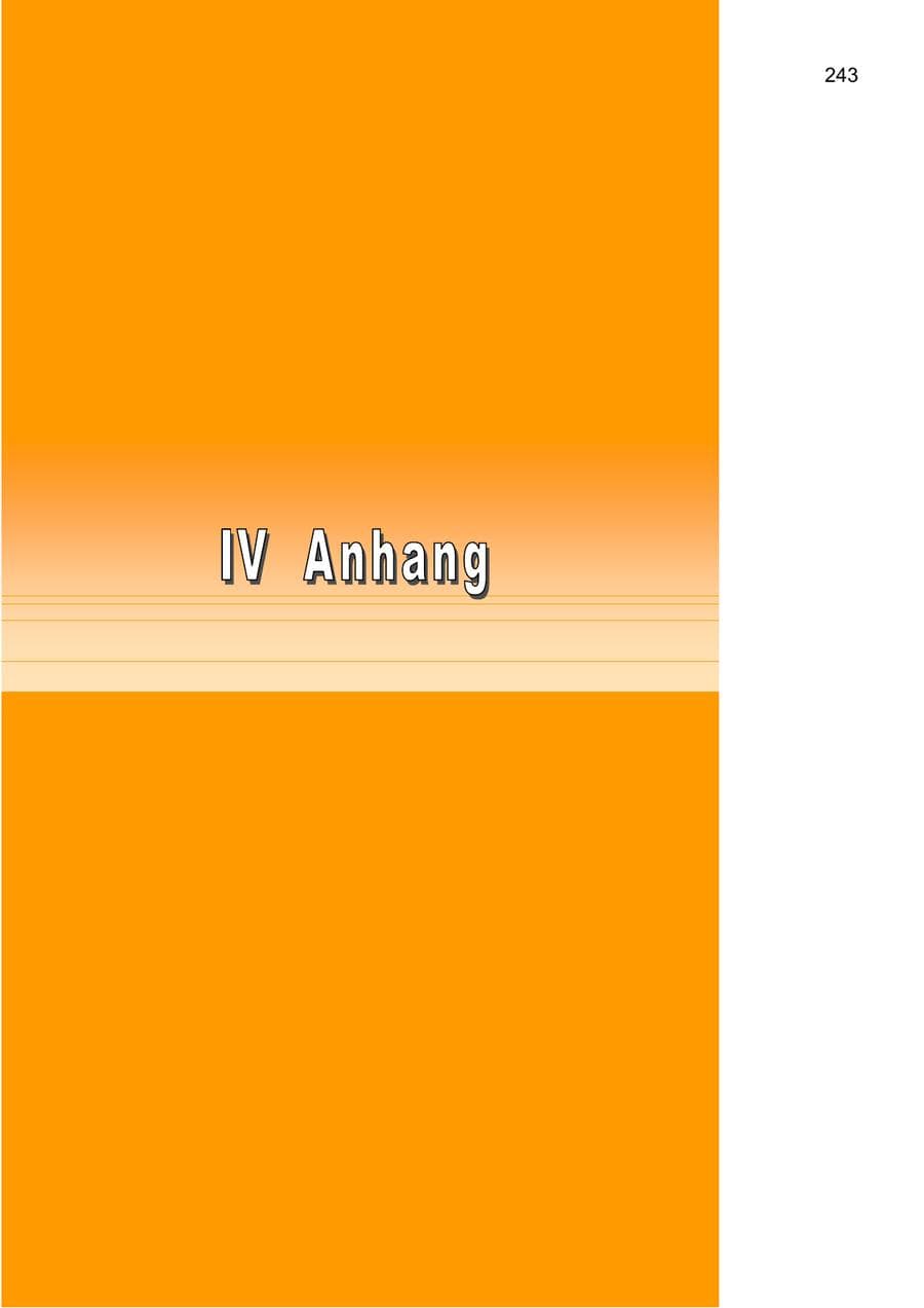 Seite 243 des Verfassungsschutzbericht 2003 Berlin
