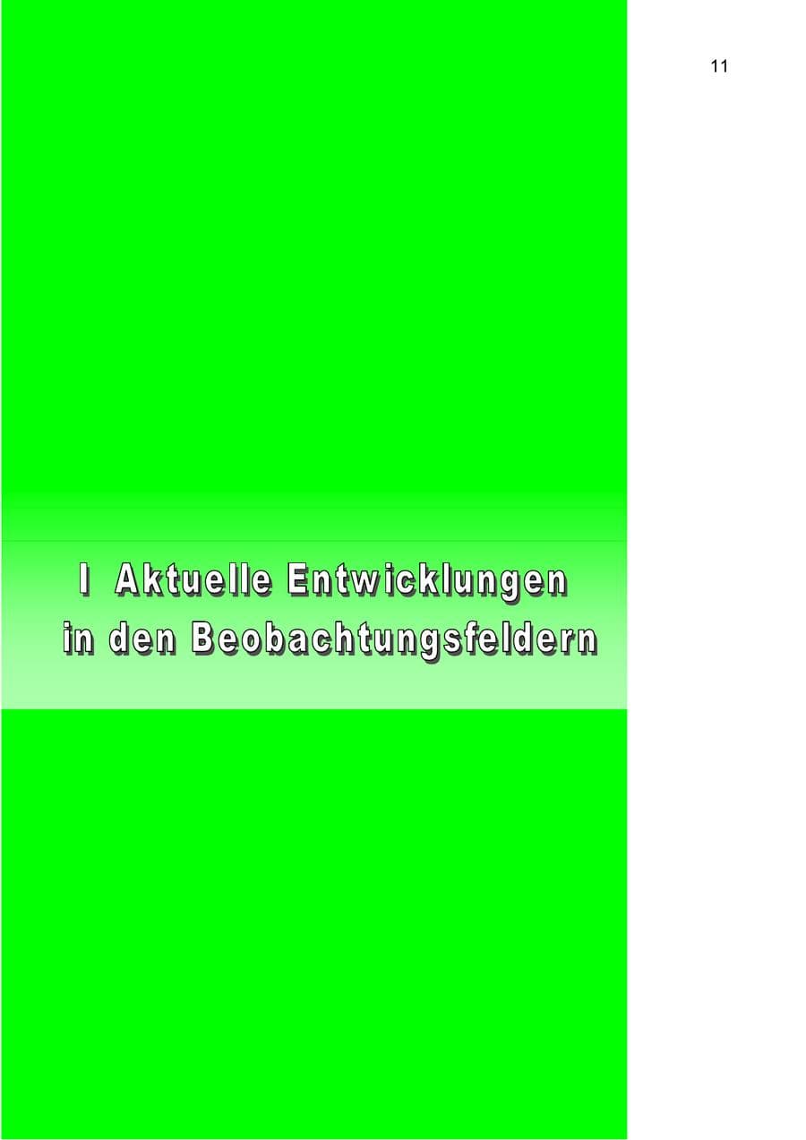 Seite 11 des Verfassungsschutzbericht 2004 Berlin