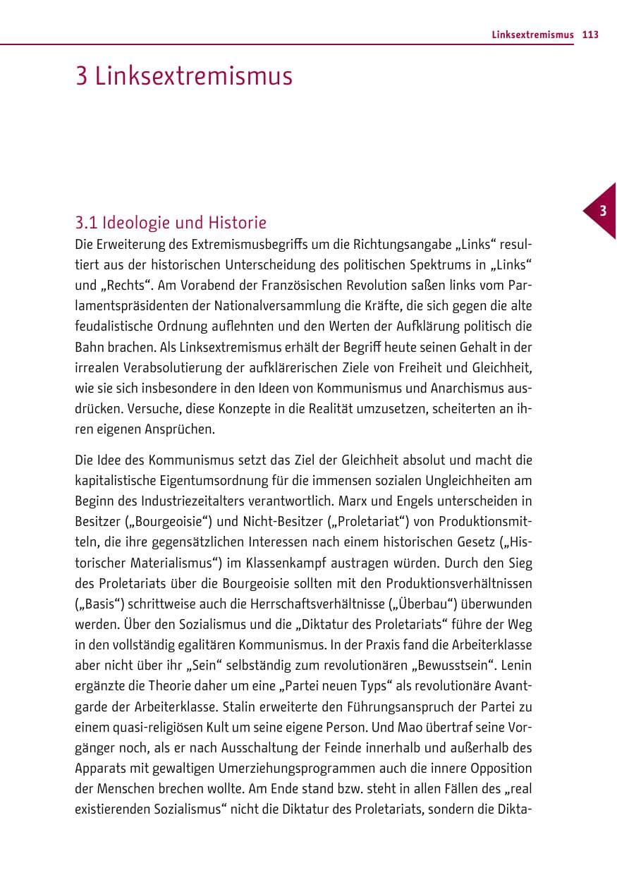 Seite 113 des Verfassungsschutzbericht 2013 Berlin