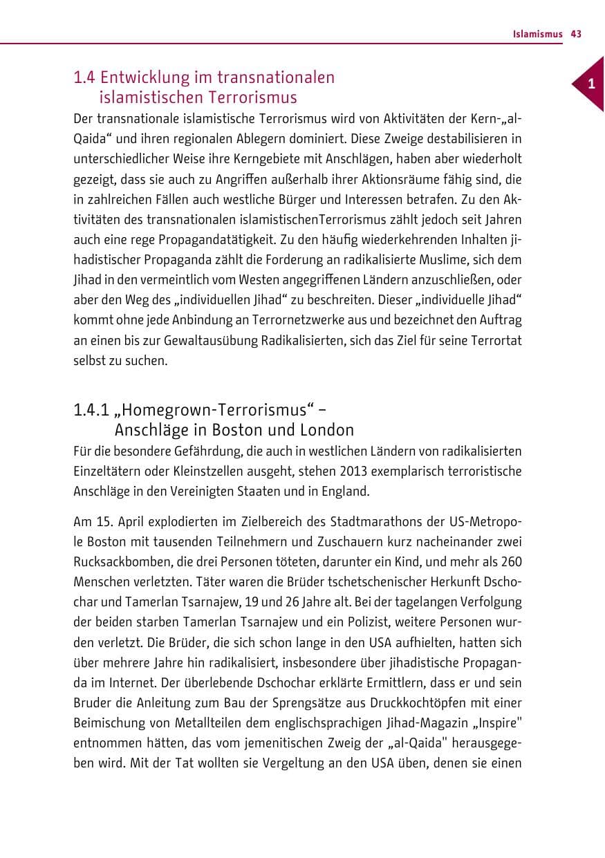 Seite 43 des Verfassungsschutzbericht 2013 Berlin