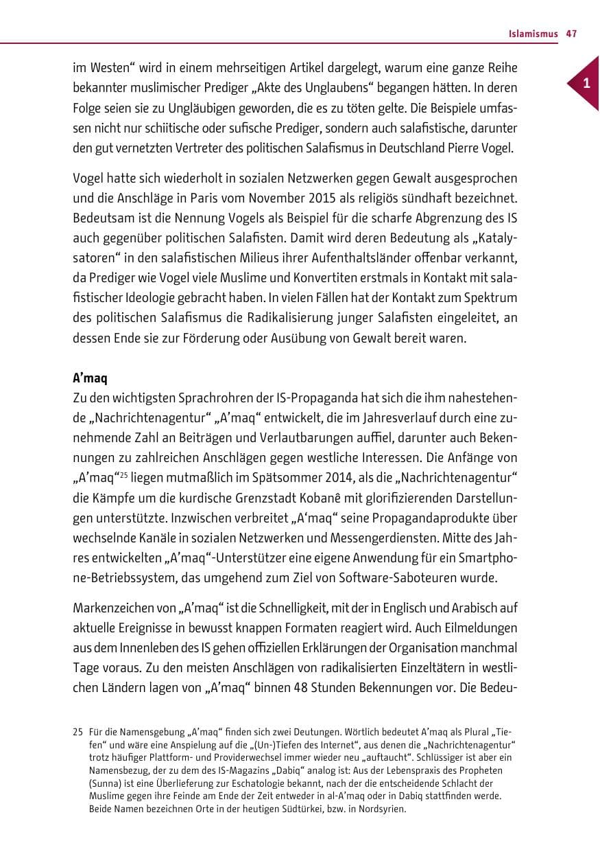 Seite 46 des Verfassungsschutzbericht 2016 Berlin