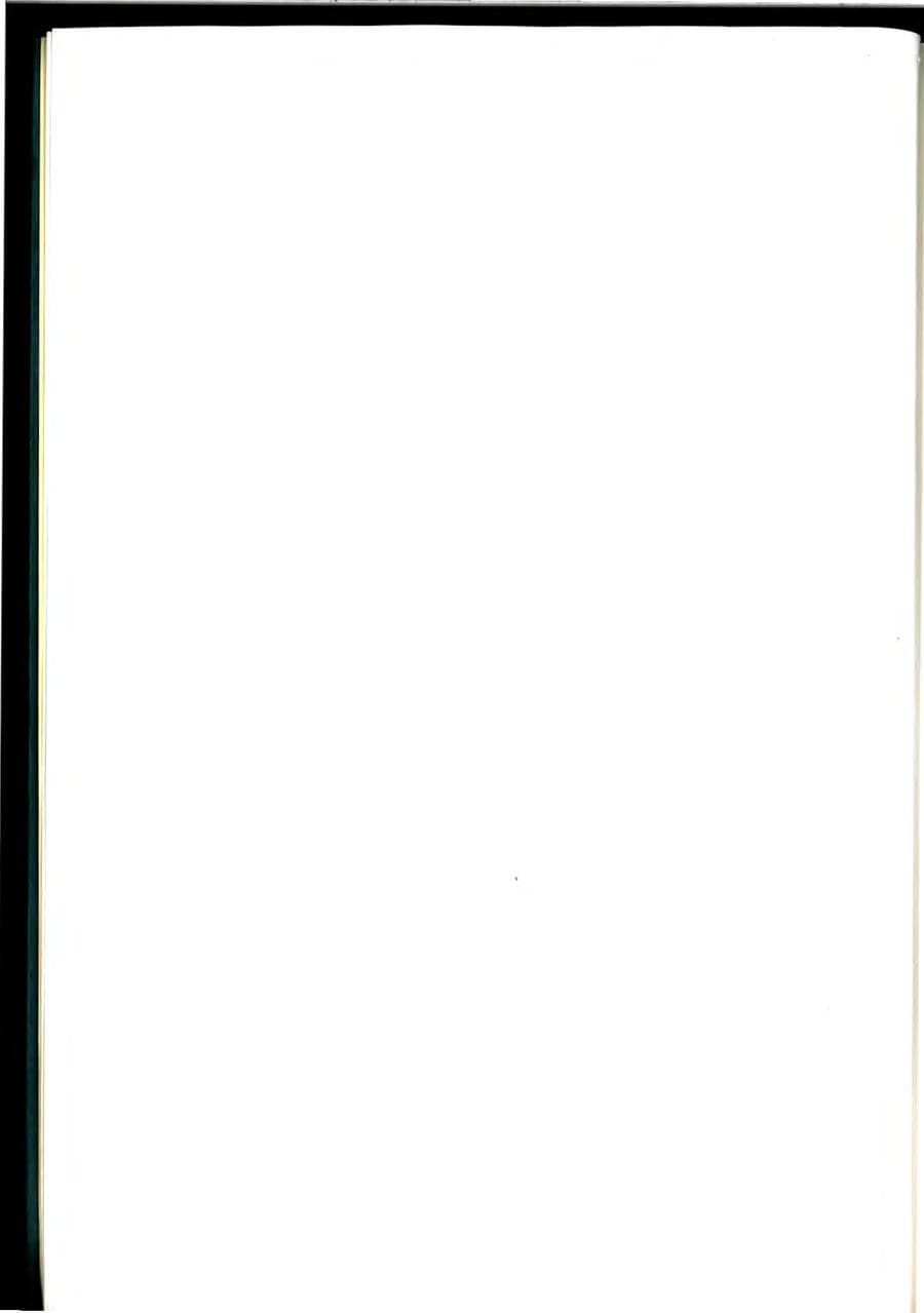 Seite 6 des Verfassungsschutzbericht 1976 Baden-Württemberg