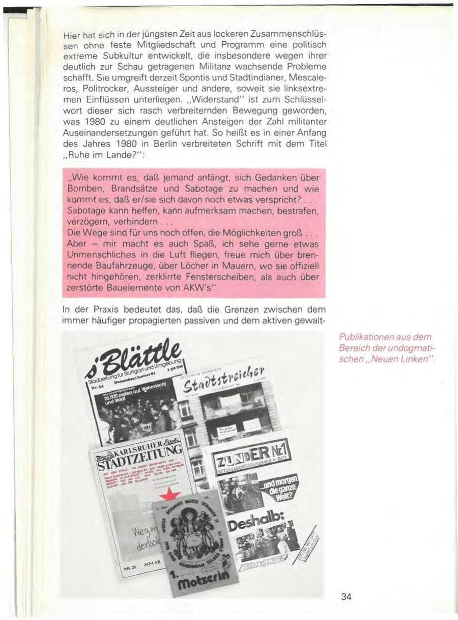 Seite 36 des Verfassungsschutzbericht 1980 Baden-Württemberg