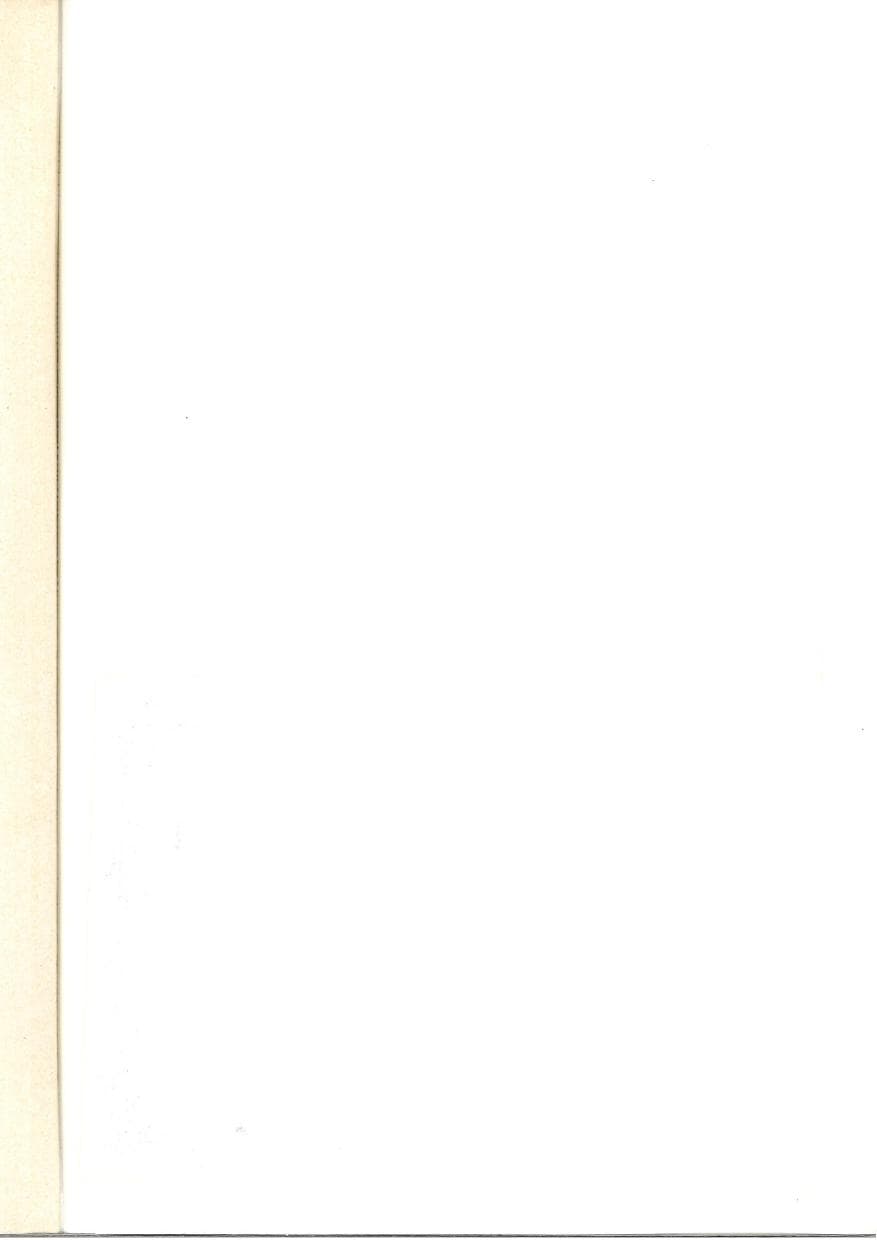 Seite 211 des Verfassungsschutzbericht 1984 Baden-Württemberg