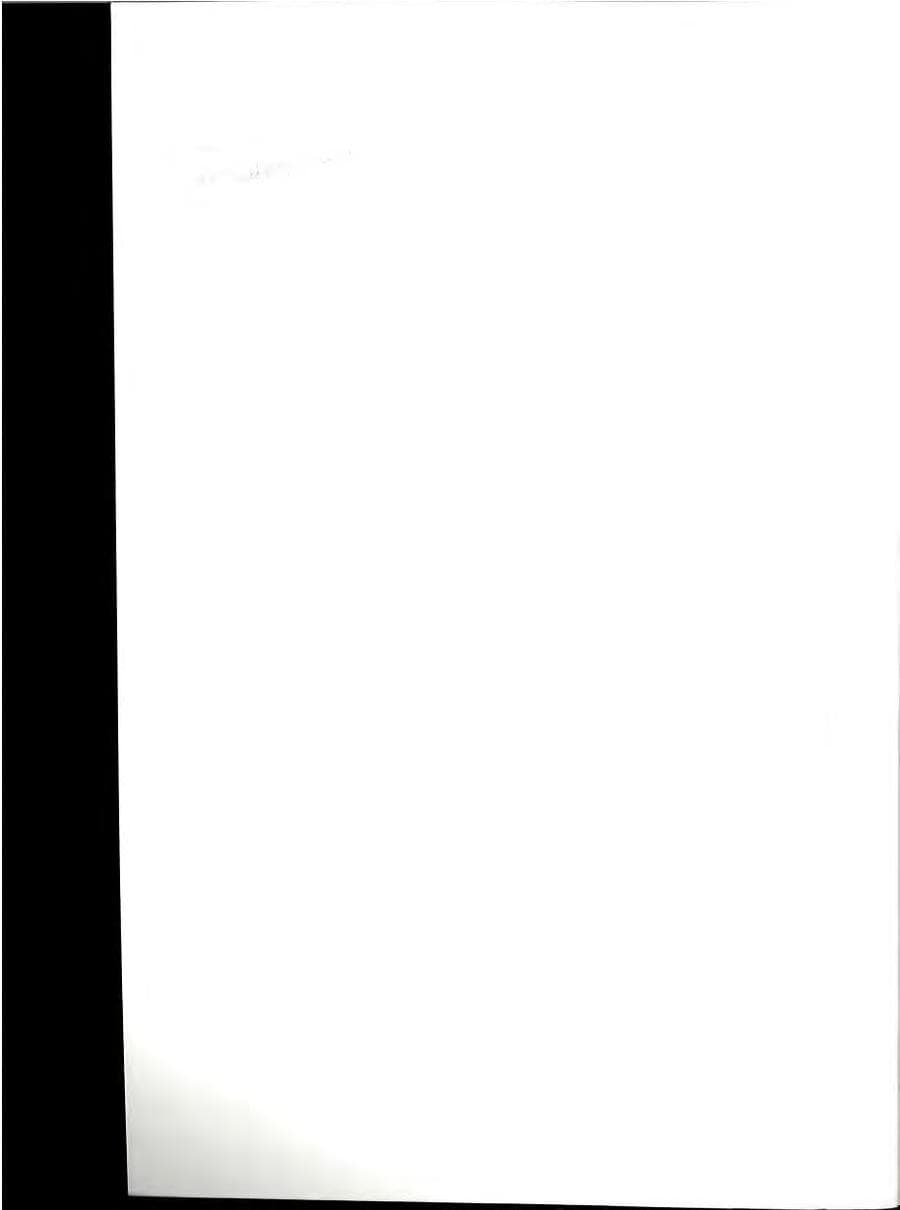 Seite 2 des Verfassungsschutzbericht 1985 Baden-Württemberg