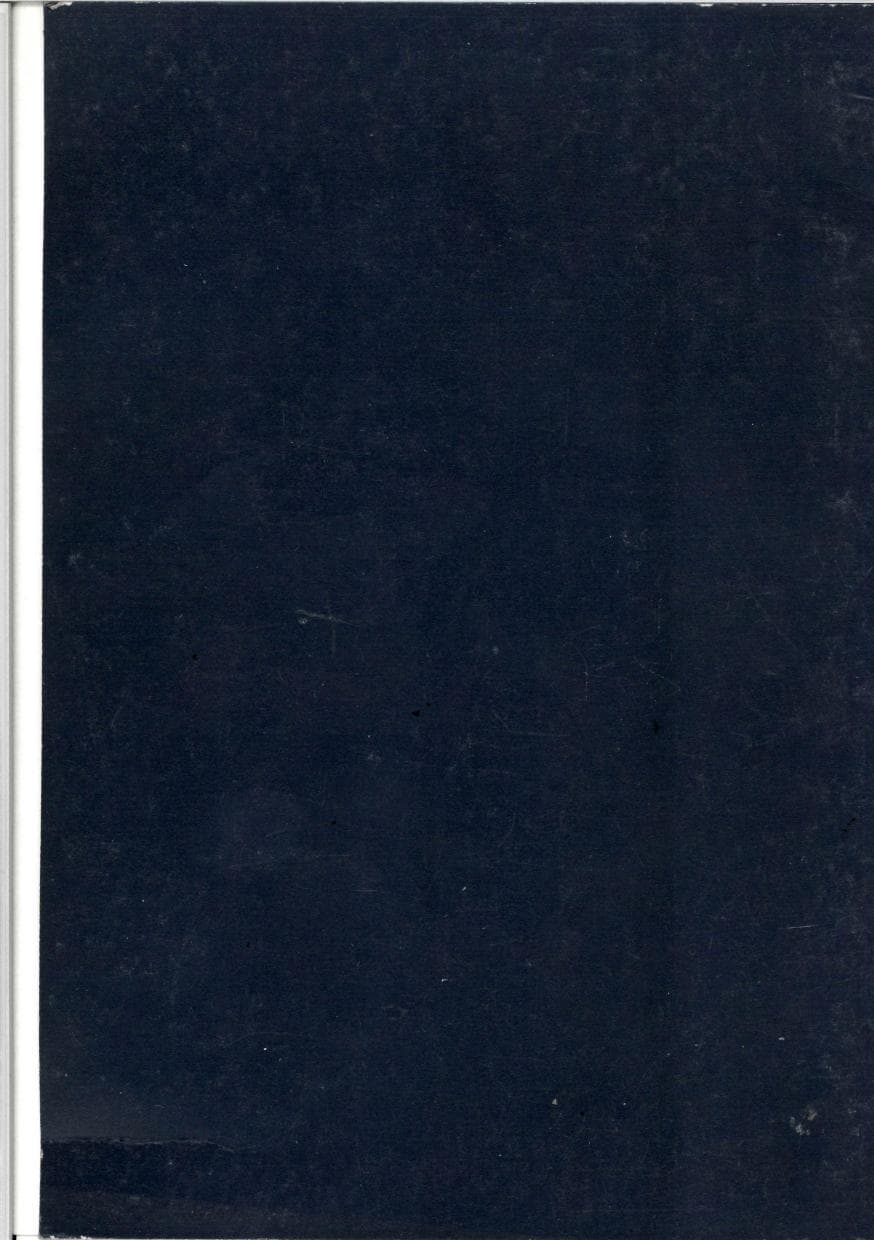 Seite 162 des Verfassungsschutzbericht 1989 Baden-Württemberg