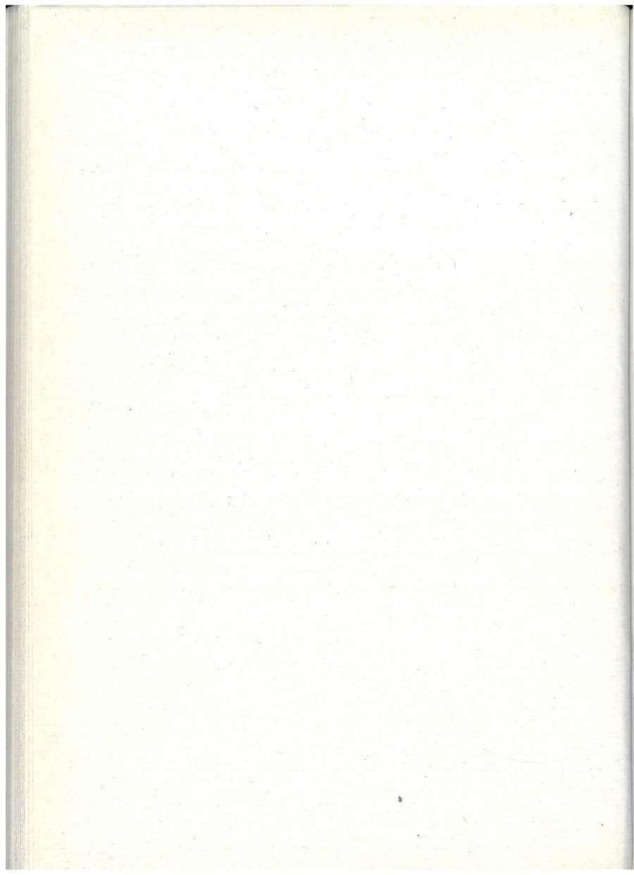 Seite 102 des Verfassungsschutzbericht 1990 Baden-Württemberg
