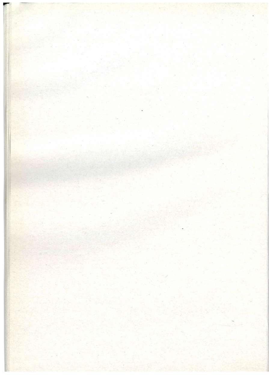 Seite 28 des Verfassungsschutzbericht 1990 Baden-Württemberg