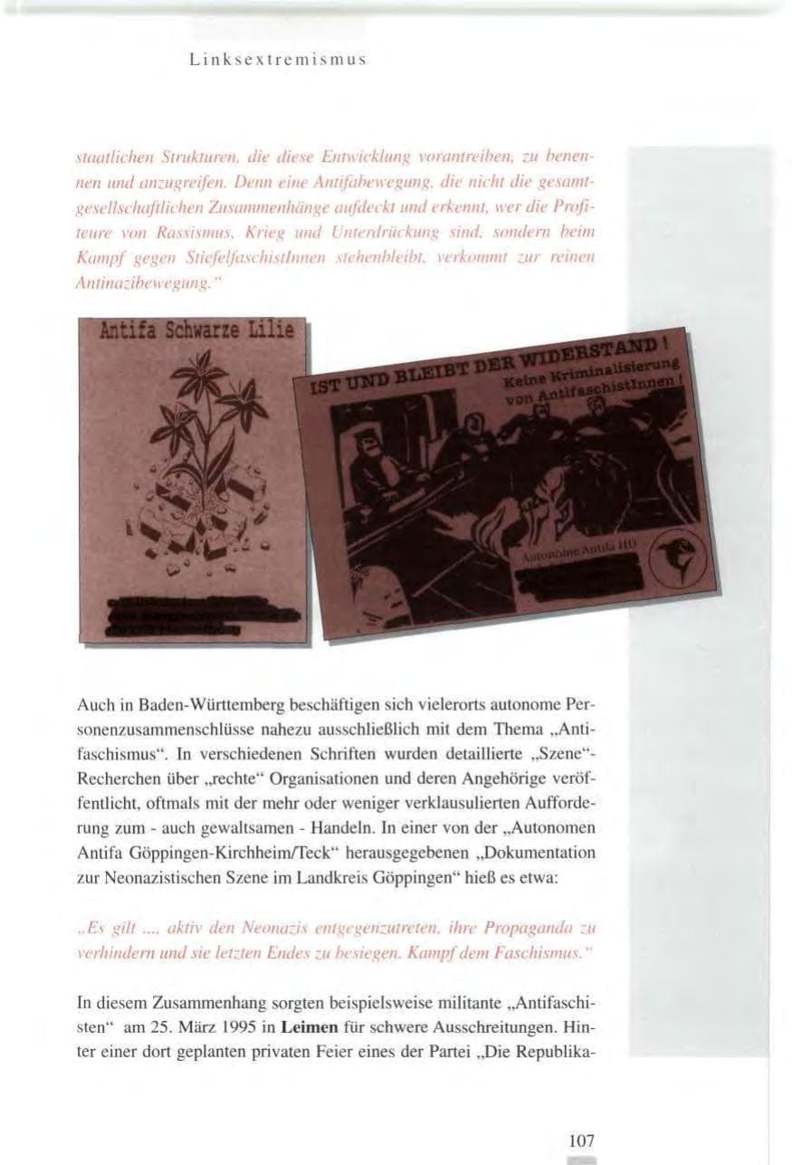 Seite 107 des Verfassungsschutzbericht 1995 Baden-Württemberg
