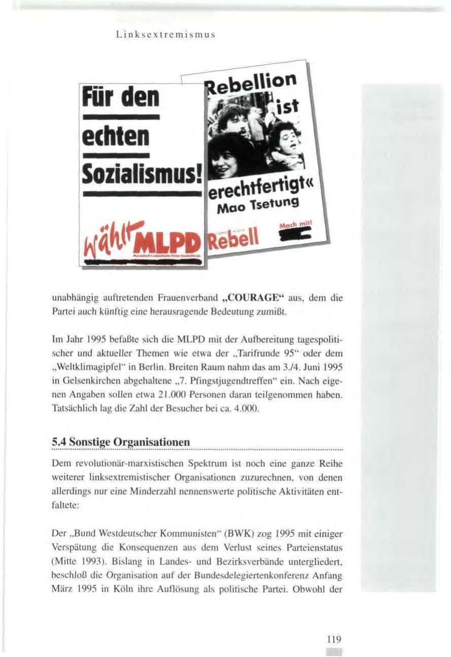 Seite 119 des Verfassungsschutzbericht 1995 Baden-Württemberg