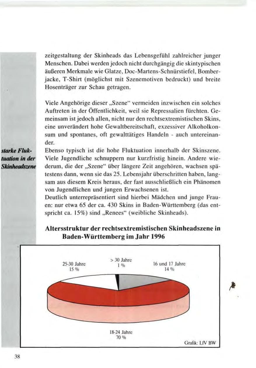 Seite 38 des Verfassungsschutzbericht 1996 Baden-Württemberg
