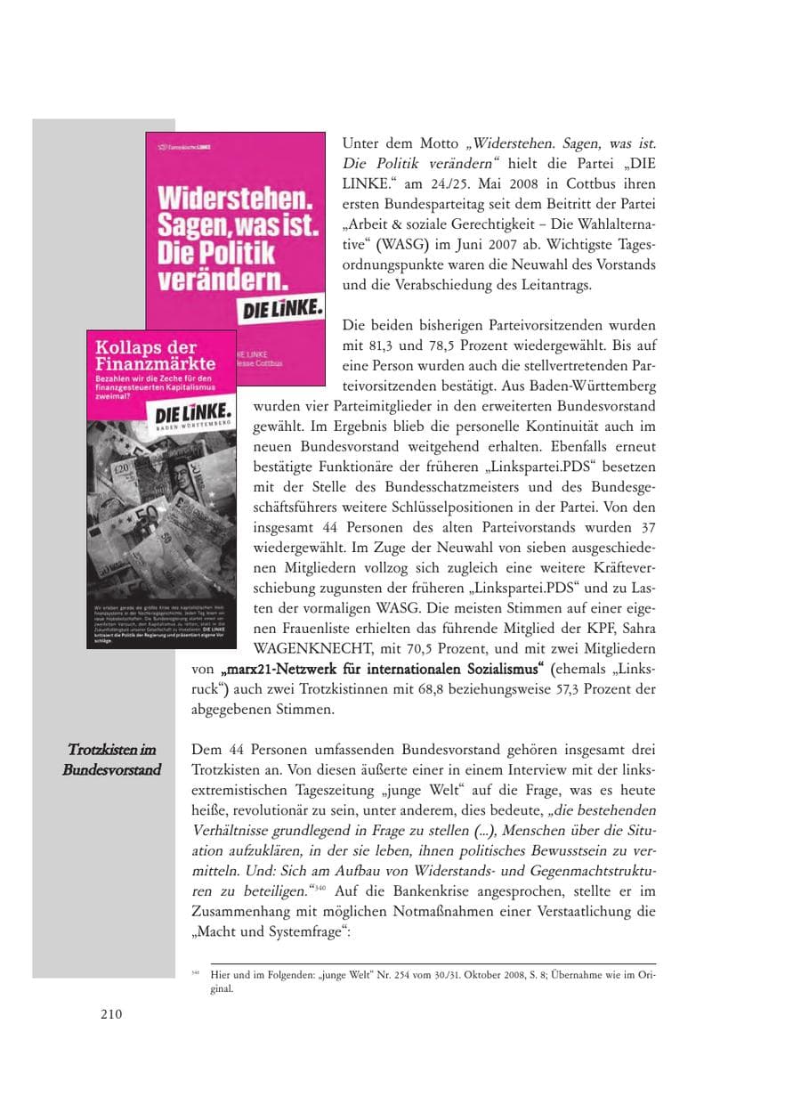Seite 210 des Verfassungsschutzbericht 2008 Baden-Württemberg