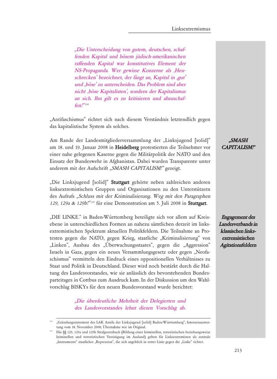 Seite 213 des Verfassungsschutzbericht 2008 Baden-Württemberg