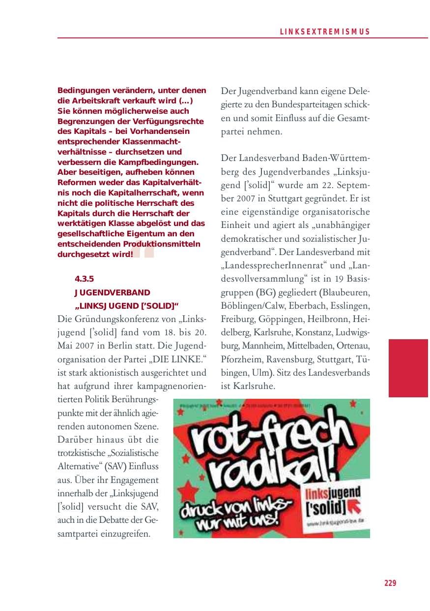 Seite 229 des Verfassungsschutzbericht 2012 Baden-Württemberg