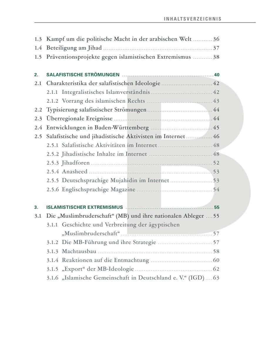 Seite 11 des Verfassungsschutzbericht 2013 Baden-Württemberg