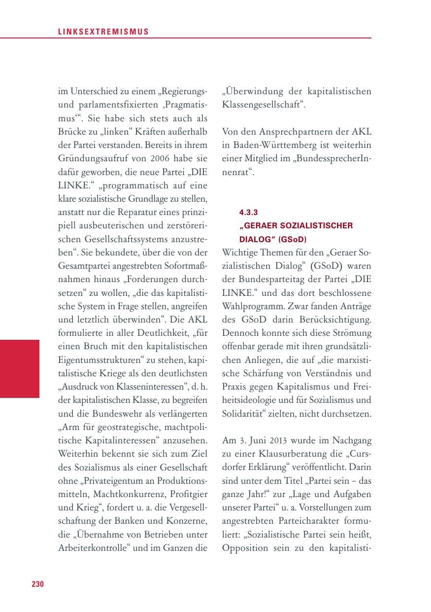 Seite 230 des Verfassungsschutzbericht 2013 Baden-Württemberg