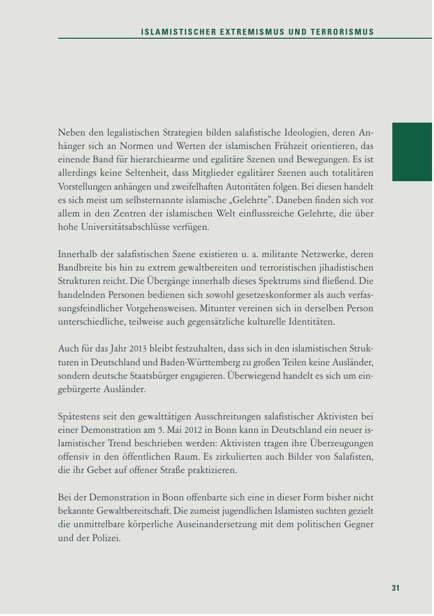 Seite 31 des Verfassungsschutzbericht 2013 Baden-Württemberg