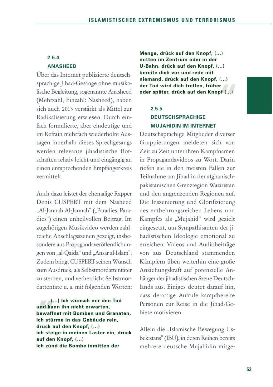 Seite 53 des Verfassungsschutzbericht 2013 Baden-Württemberg
