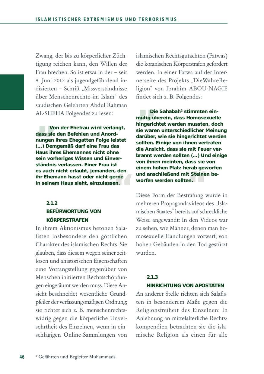 Seite 46 des Verfassungsschutzbericht 2014 Baden-Württemberg