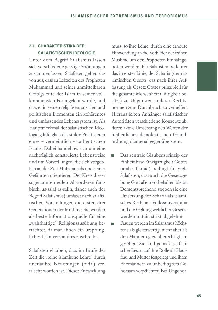 Seite 45 des Verfassungsschutzbericht 2015 Baden-Württemberg