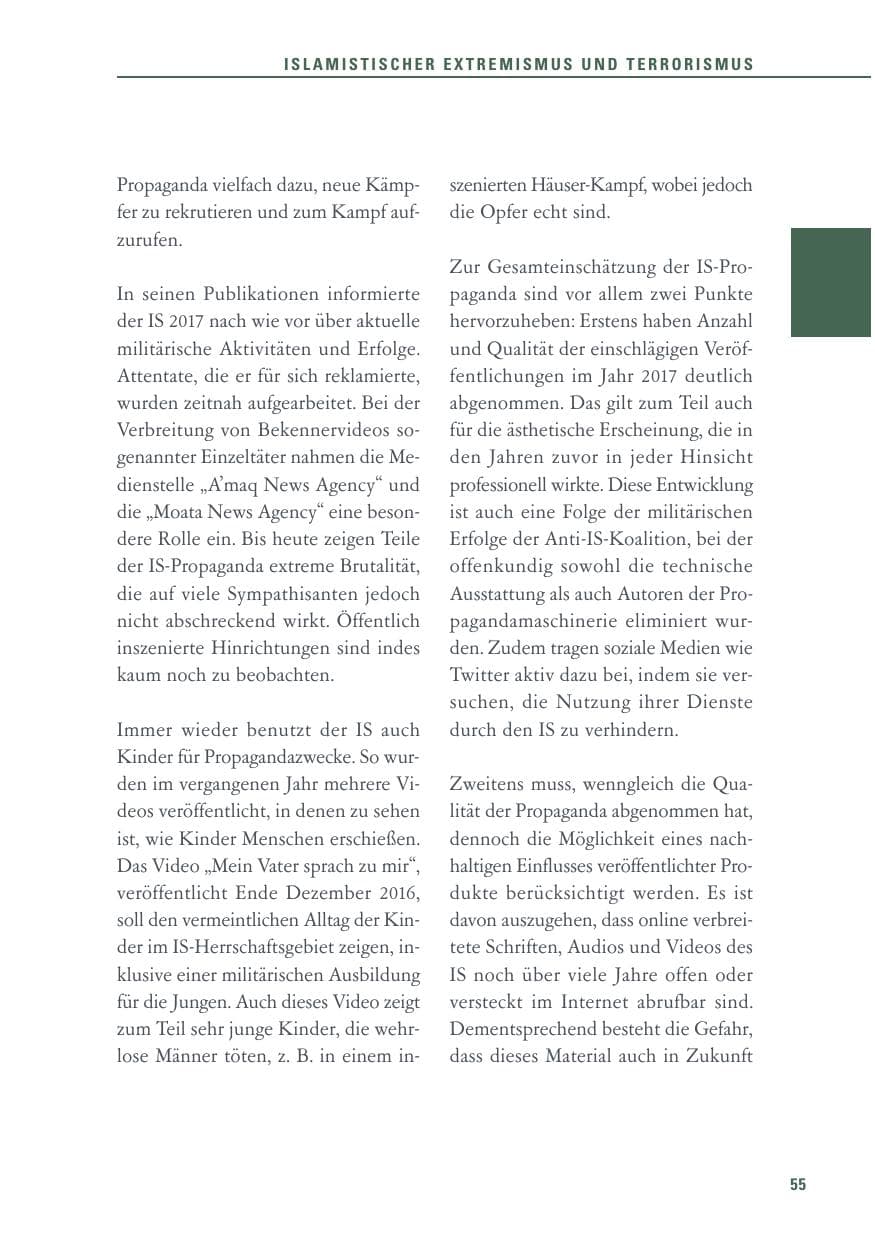 Seite 55 des Verfassungsschutzbericht 2017 Baden-Württemberg