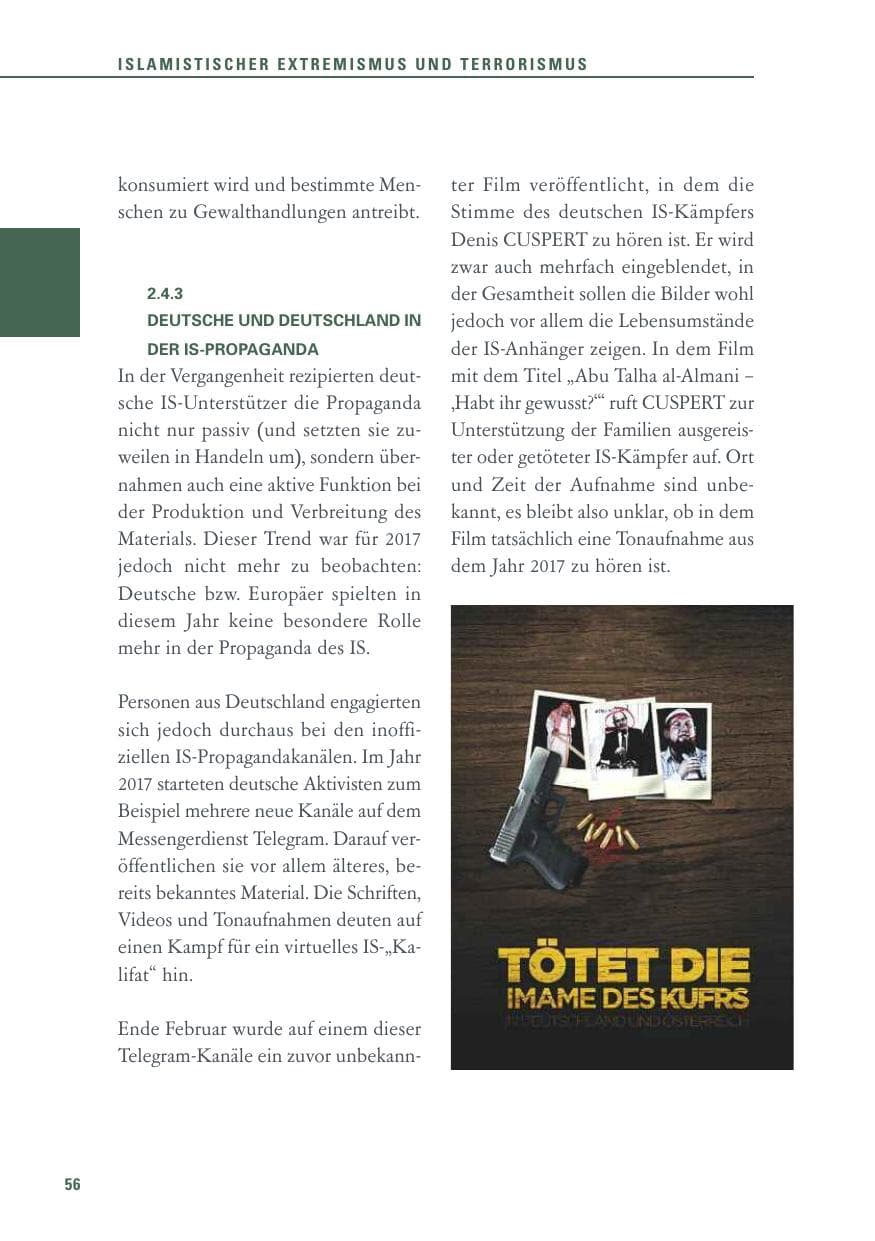 Seite 56 des Verfassungsschutzbericht 2017 Baden-Württemberg
