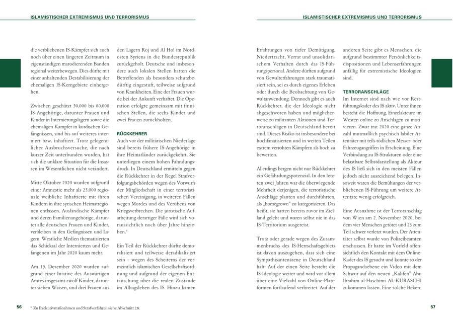 Seite 29 des Verfassungsschutzbericht 2020 Baden-Württemberg