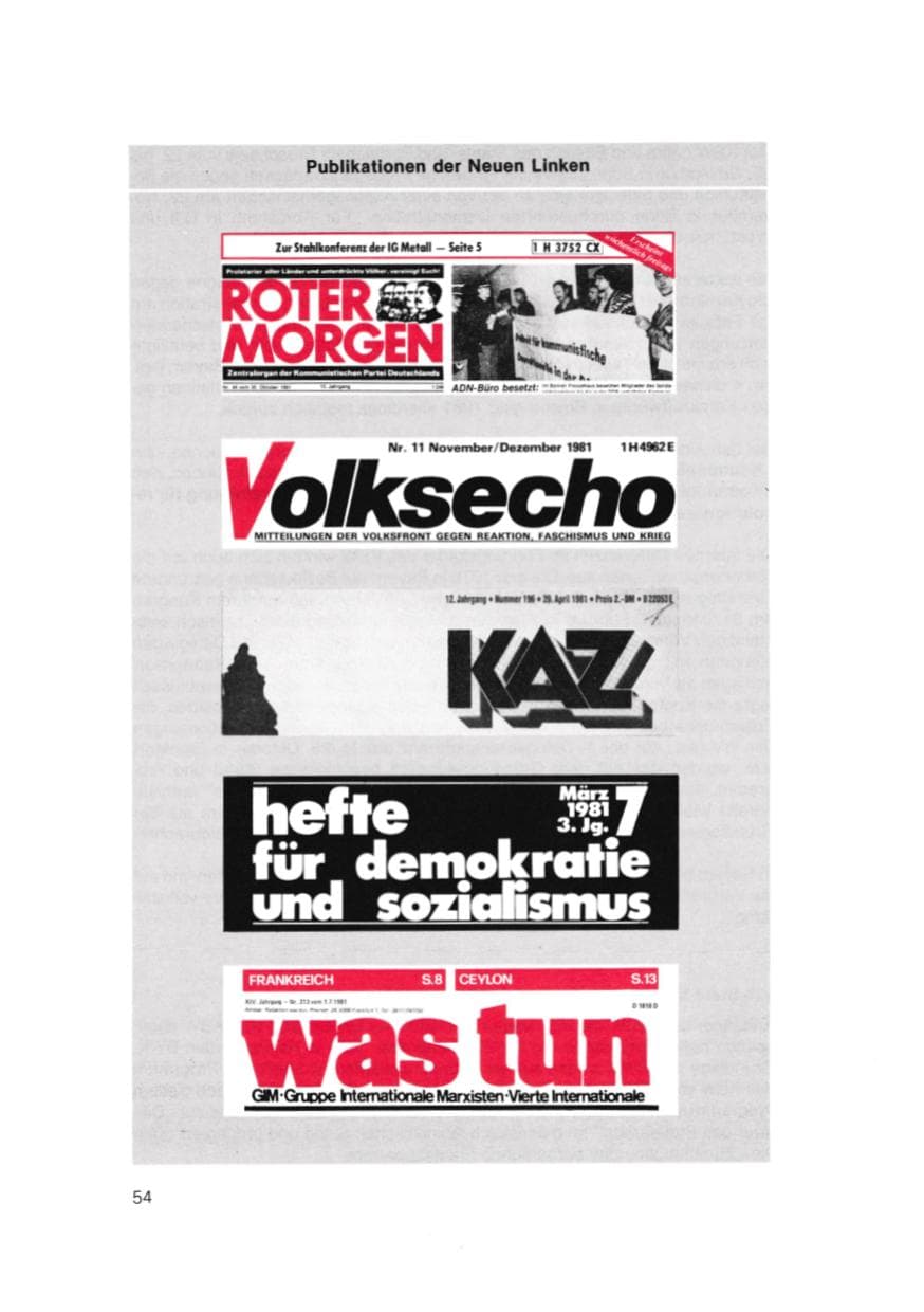 Seite 55 des Verfassungsschutzbericht 1981 Bayern
