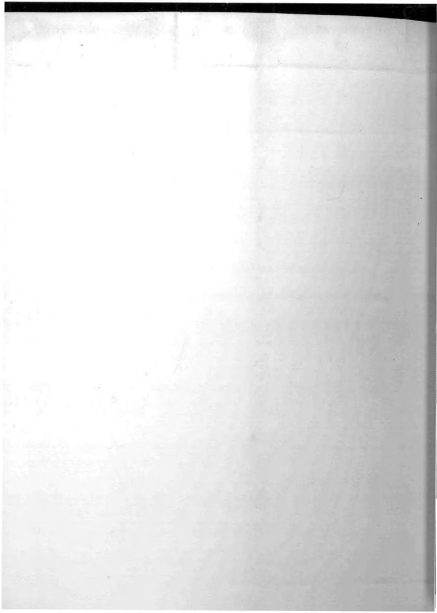 Seite 213 des Verfassungsschutzbericht 1982 Bayern