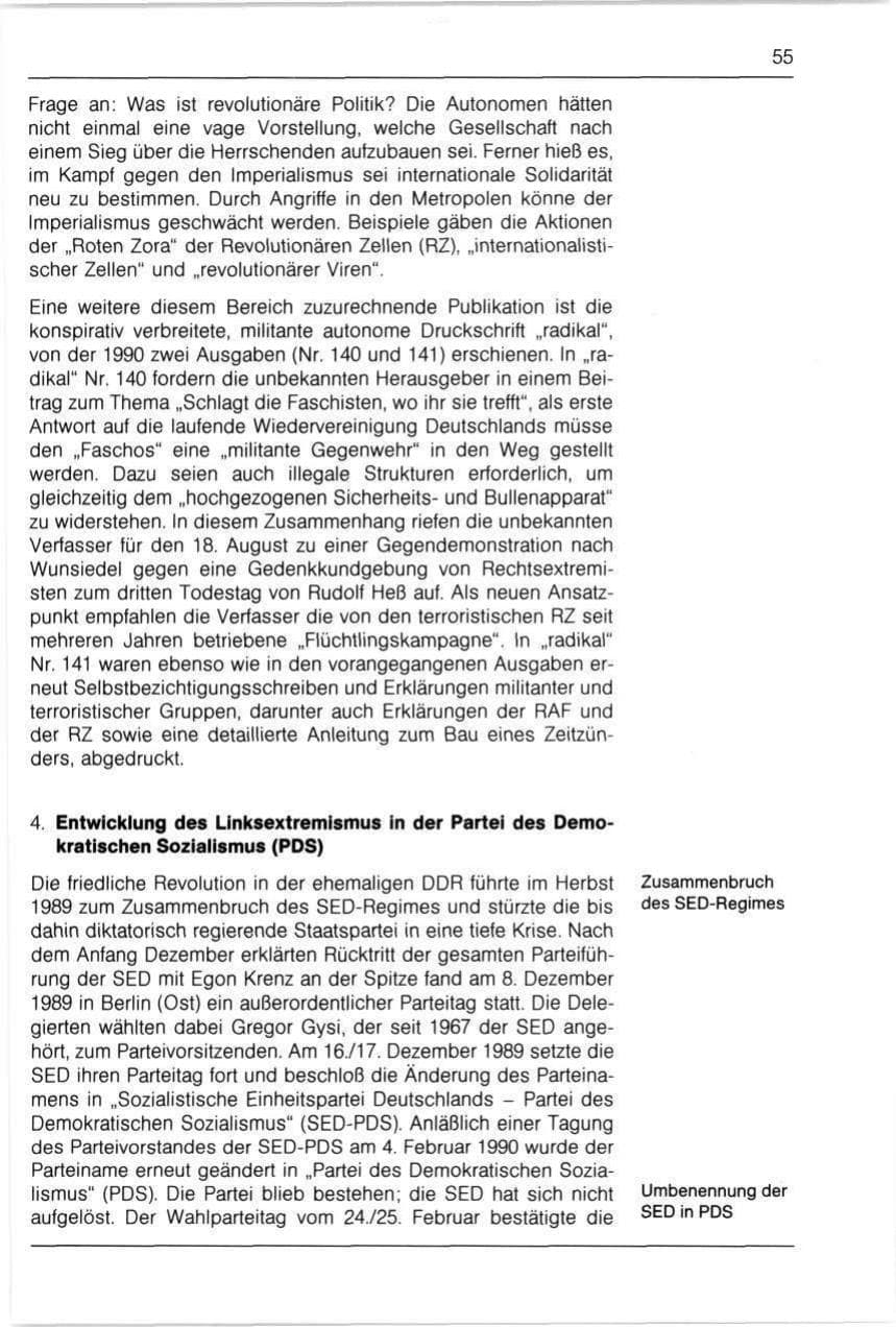 Seite 55 des Verfassungsschutzbericht 1990 Bayern