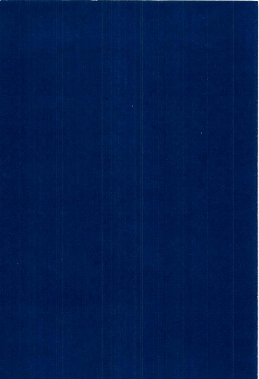 Seite 278 des Verfassungsschutzbericht 1997 Bayern