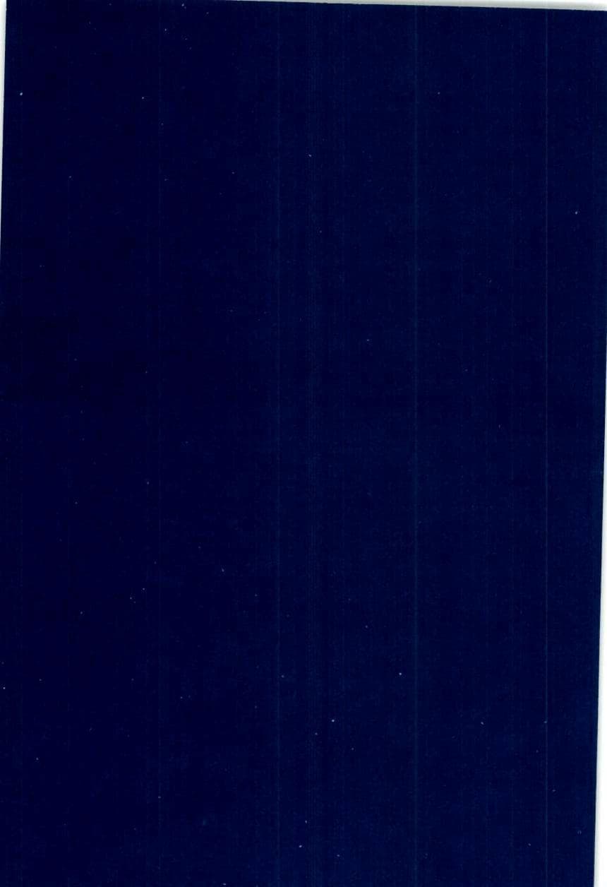 Seite 181 des Verfassungsschutzbericht 1998 Bayern