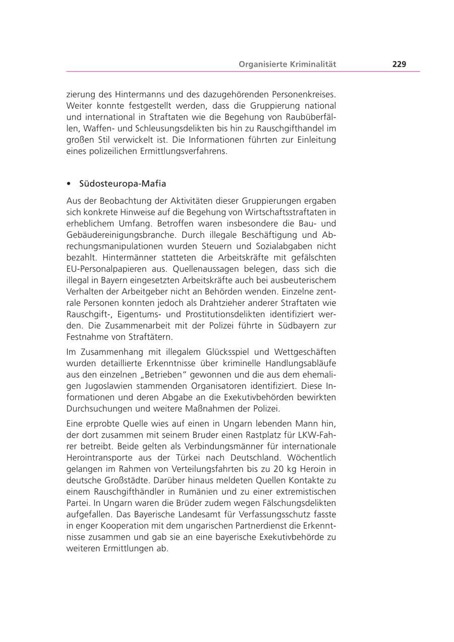 Seite 229 des Verfassungsschutzbericht 2002 Bayern