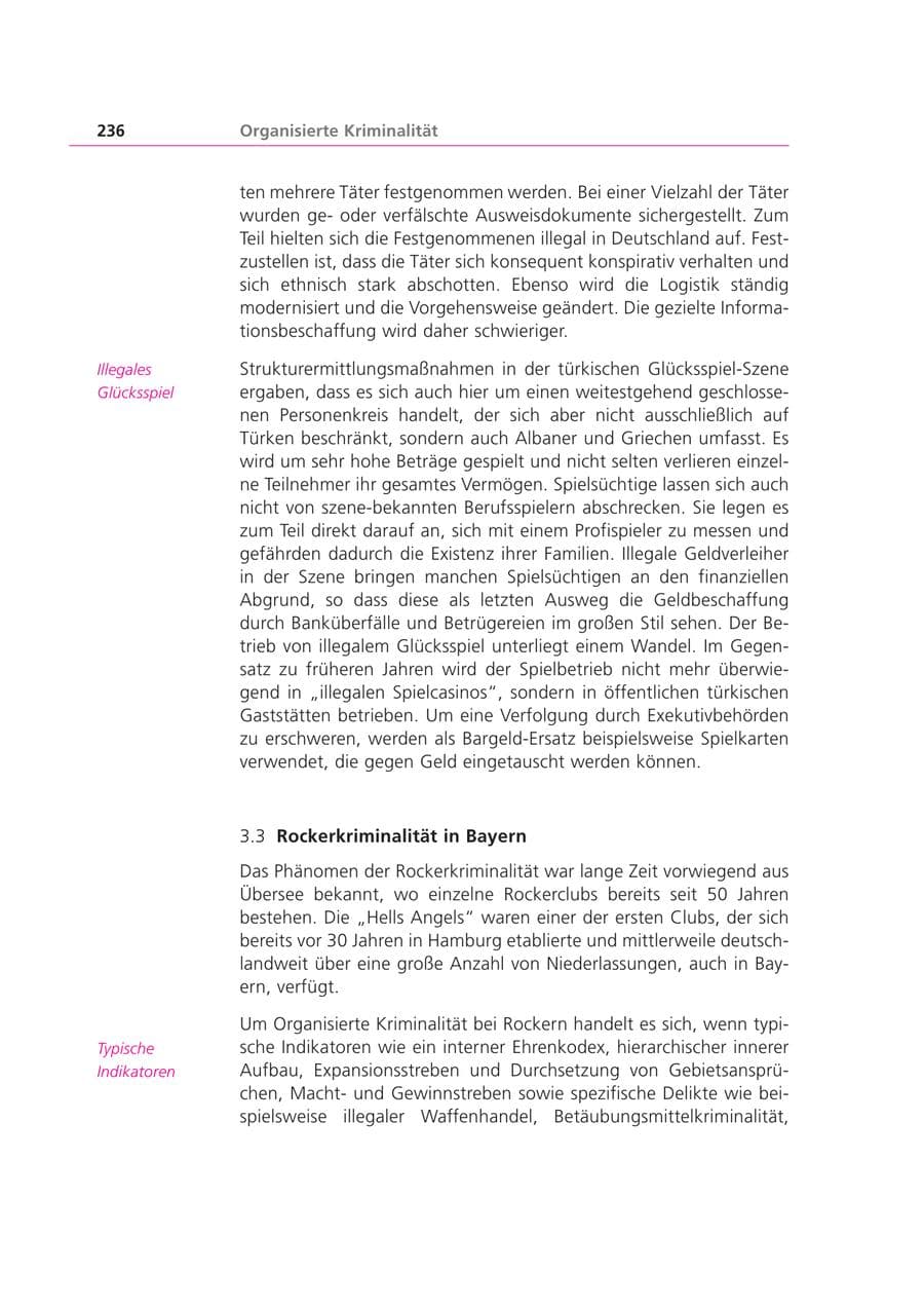 Seite 236 des Verfassungsschutzbericht 2003 Bayern