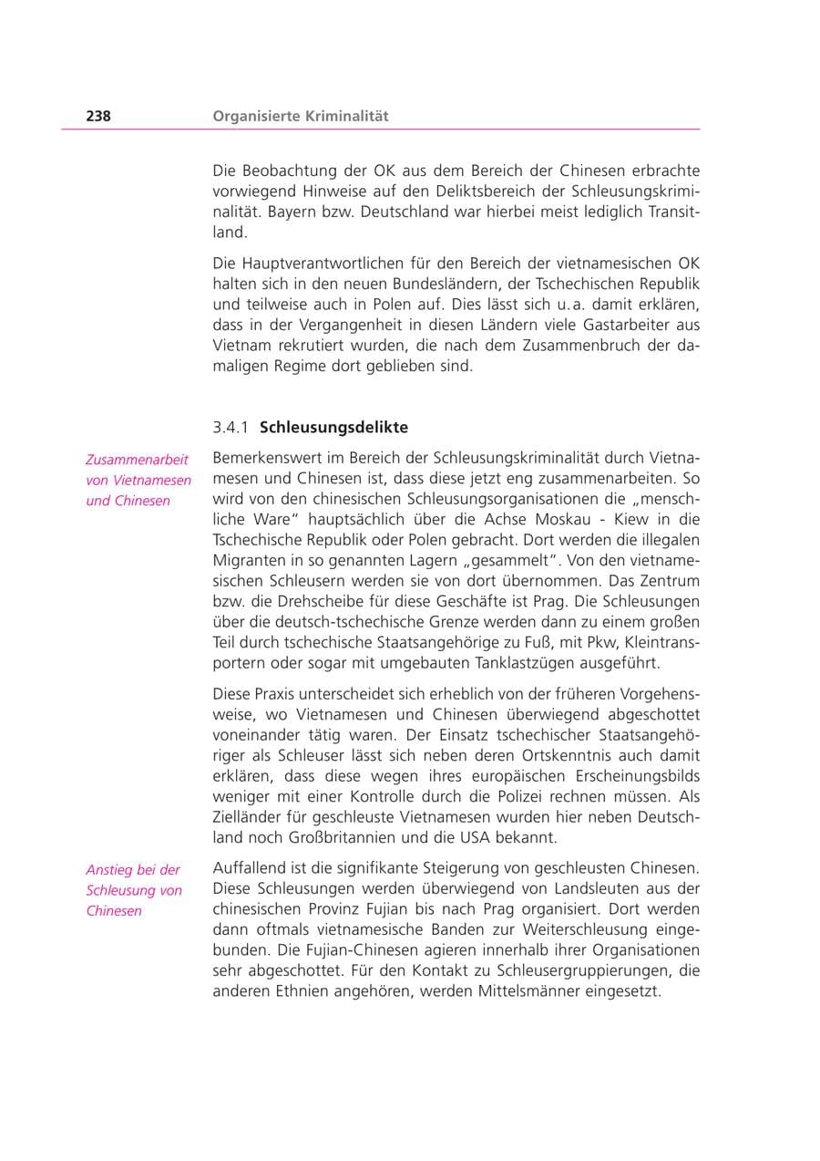 Seite 238 des Verfassungsschutzbericht 2003 Bayern
